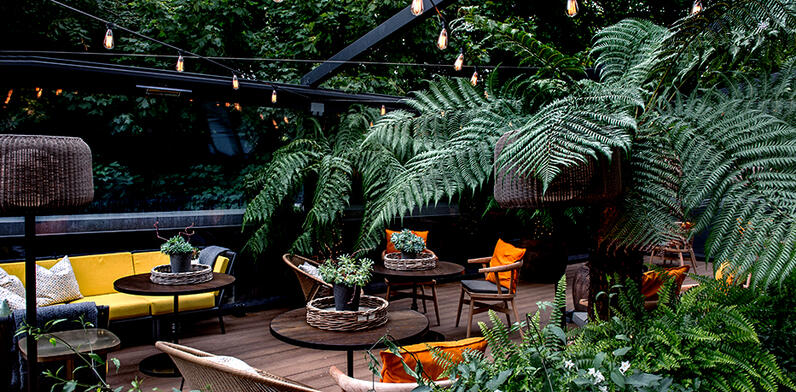 The lookout exterior terrace with  seating and palm trees