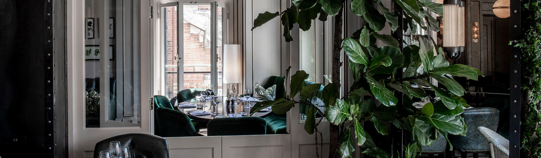 WILDE green chairs