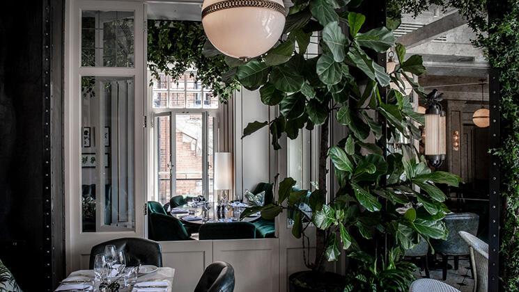 WILDE green chairs